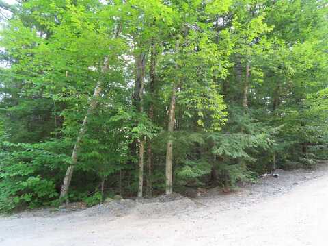 Lot 160 Bly Avenue, Alton, NH 03810