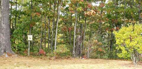 60 Lighthouse Cliffs Avenue, Laconia, NH 03246