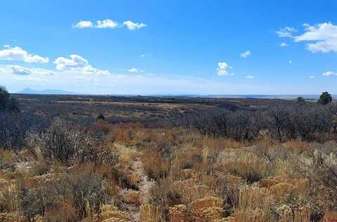 TBD Road C, Dove Creek, CO 81324