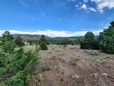 Lot 17A Rito Hondo Road, Antonito, CO 81120