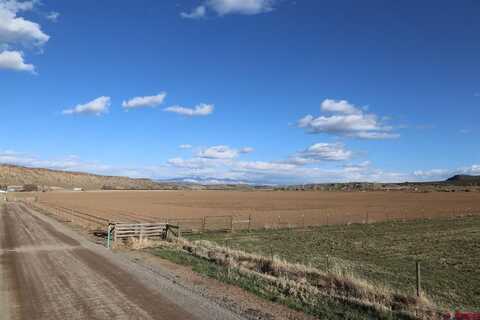 Lot 1 5790 Road, Montrose, CO 81403