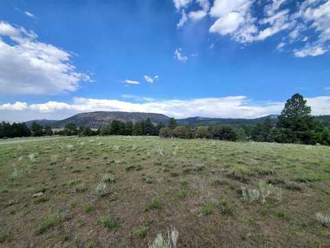 Lot 15 Rito Hondo Court, Antonito, CO 81120