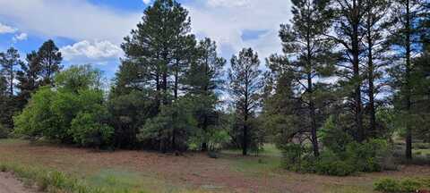 30 High Drive, Pagosa Springs, CO 81147