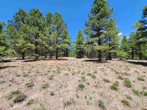 Lot 6 North Rito Hondo Court, Antonito, CO 81120