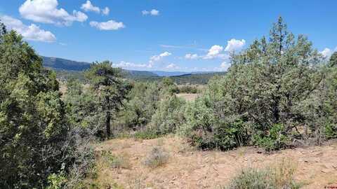 531/575 West View Road, Pagosa Springs, CO 81147