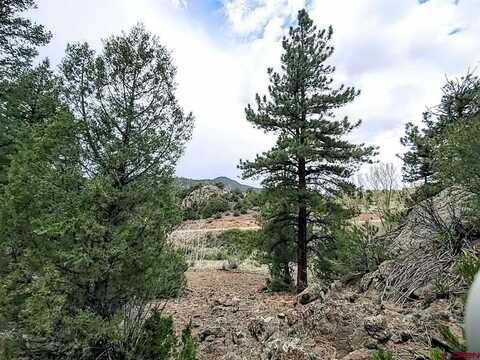 61 Red Tail Court, South Fork, CO 81154