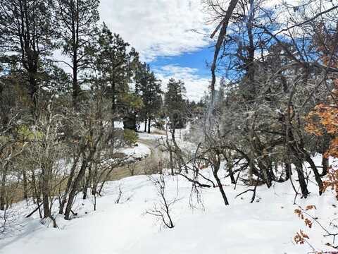 2620/76,2868/92 Crooked Road, Pagosa Springs, CO 81147