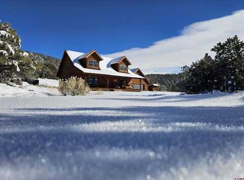 3023 Bear Creek Circle, South Fork, CO 81154