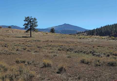 X US Highway 84, Chromo, CO 81147