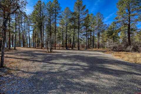 3700-A County Road 600 Lots 1&2, Pagosa Springs, CO 81147