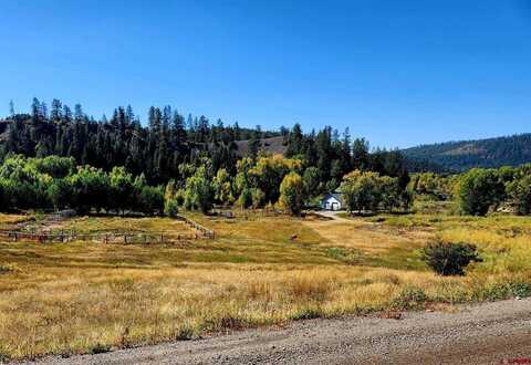 X County Road 335, Pagosa Springs, CO 81147