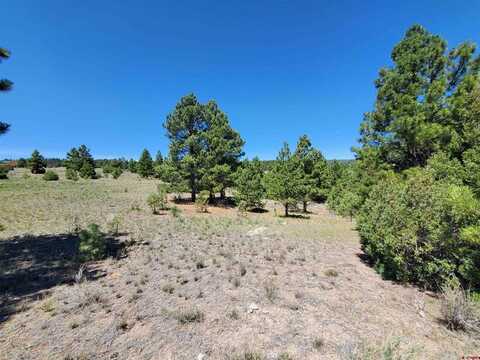 Lot 1 Rito Hondo Road, Antonito, CO 81120