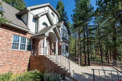 516 Iron King, Durango, CO 81301