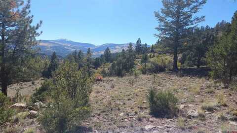 1685 Bear Creek Cir, South Fork, CO 81154