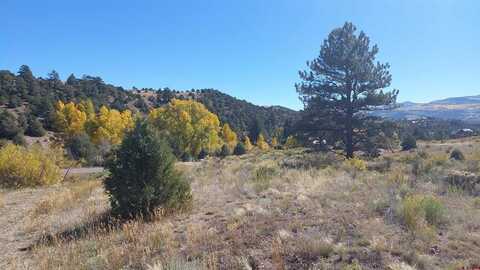1685 Bear Creek Cir, South Fork, CO 81154