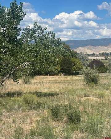 TBD Crestview Drive, Montrose, CO 81403