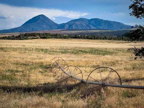 19234 Road 16 & 19444 Road 16.5, Yellow Jacket, CO 81335