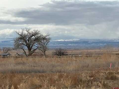 TBD Peach Valley Road, Montrose, CO 81403