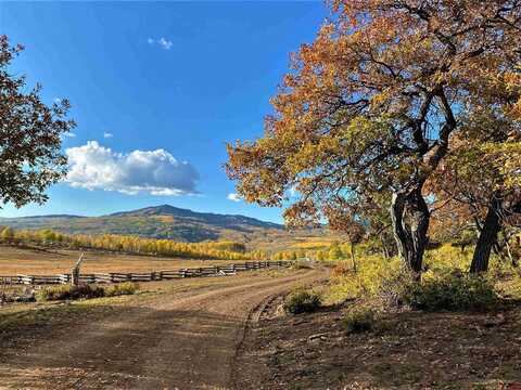 128 Forest Rd Thunderidge rd, Hotchkiss, CO 81419