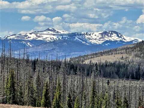 0 F.S. Rd 610, Creede, CO 81130