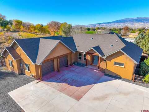 1794 ROUBIDEAU Street, Delta, CO 81416