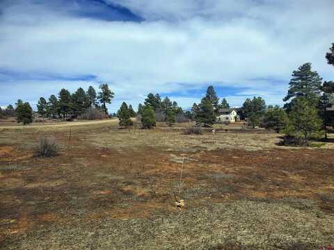 1346 Trails Boulevard, Pagosa Springs, CO 81147