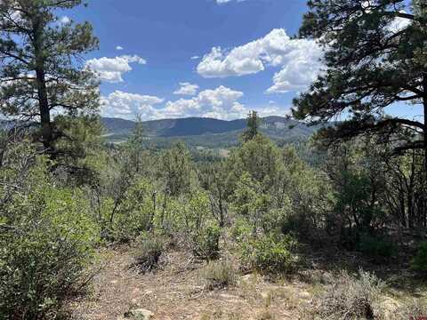 737 Starling Circle, Pagosa Springs, CO 81147