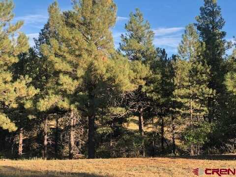 146 Sweetwater Drive, Pagosa Springs, CO 81147