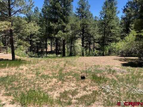 146 Sweetwater Drive, Pagosa Springs, CO 81147