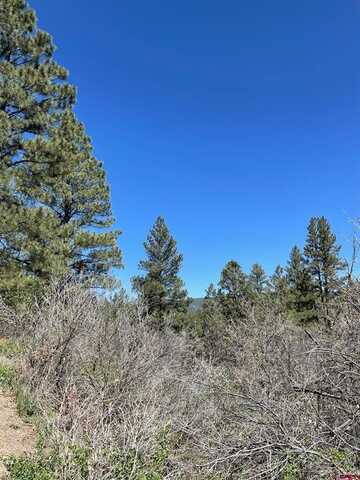 278 Pineridge Trail, Pagosa Springs, CO 81147