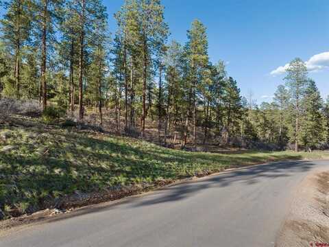 102 Red Canyon Court, Durango, CO 81301