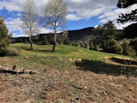 51 Mojave Court, South Fork, CO 81154