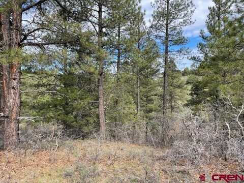 1260 Crooked Road, Pagosa Springs, CO 81147