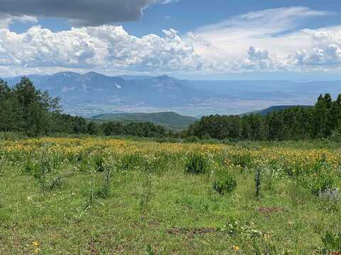 128-1 G National Forest road, Hotchkiss, CO 81419