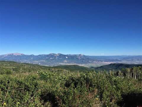 128-1 G National Forest road, Hotchkiss, CO 81419