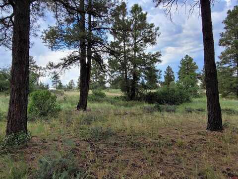 42 Eiffel Court, Pagosa Springs, CO 81147