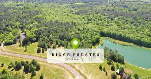 Lot 7 Leahmon Lane, Mathews, AL 36052