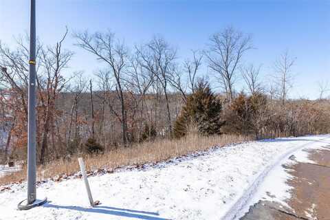 2609 Forest Glen Drive, Pacific, MO 63069
