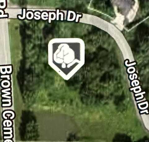 0 Joseph Drive, Pocahontas, IL 62275