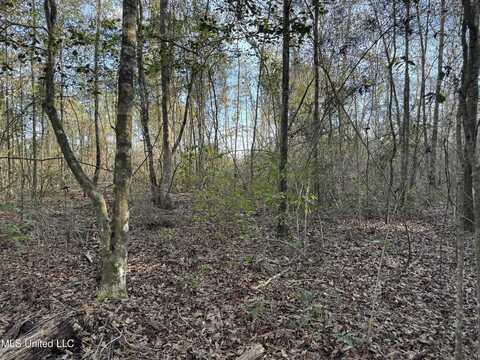 Lot 14 Hickory Lakes Estates, Lucedale, MS 39452