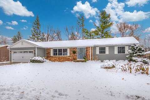 Maple, NORTHFIELD, MN 55057