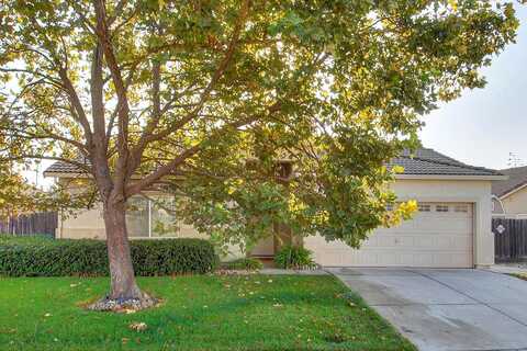 Zinnia, ELK GROVE, CA 95624