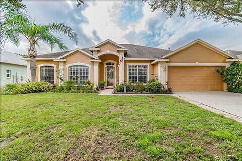 Clover Glen, RIVERVIEW, FL 33569