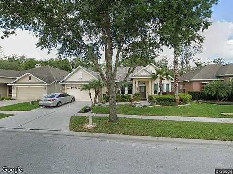 Ambleside, LAND O LAKES, FL 34637