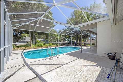Treeline, LADY LAKE, FL 32159