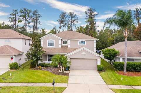 Edenfield, WESLEY CHAPEL, FL 33544