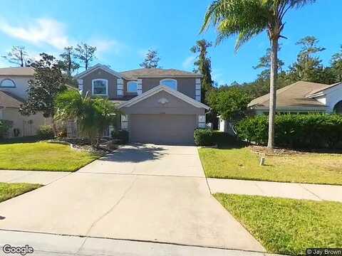 Edenfield, WESLEY CHAPEL, FL 33544