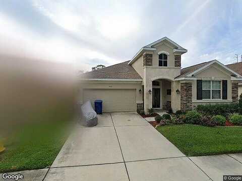 Summerdale, CLEARWATER, FL 33761