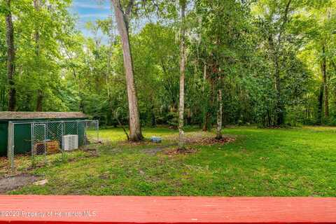 Perimeter, BROOKSVILLE, FL 34614