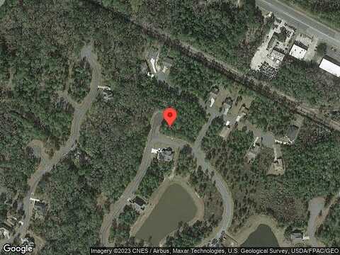 Chinquapin, SAINT MARYS, GA 31558